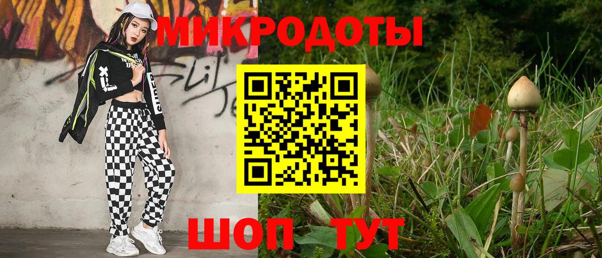 Скопин  Галлюциногенные грибы Magic Shrooms  Вход с VPN  Псилоцибиновые грибы ЛСД 